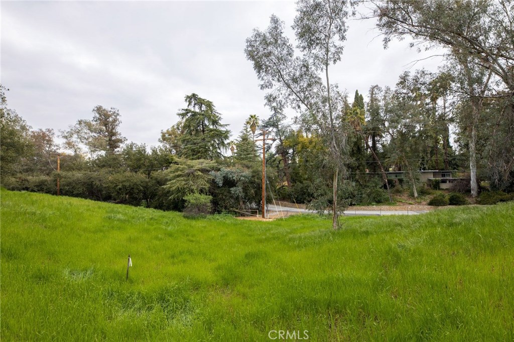 1702 Dwight Street Redlands, CA 92373 - Photo 6 of 15