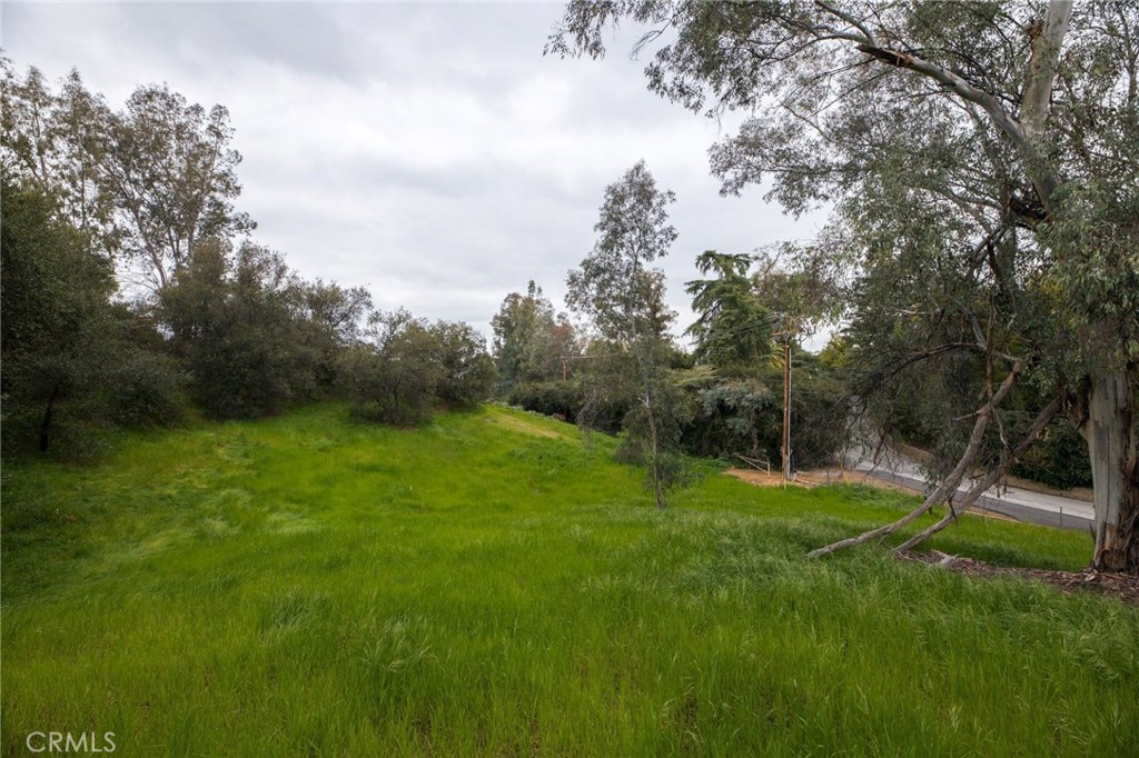 1702 Dwight Street Redlands, CA 92373 - Photo 8 of 15