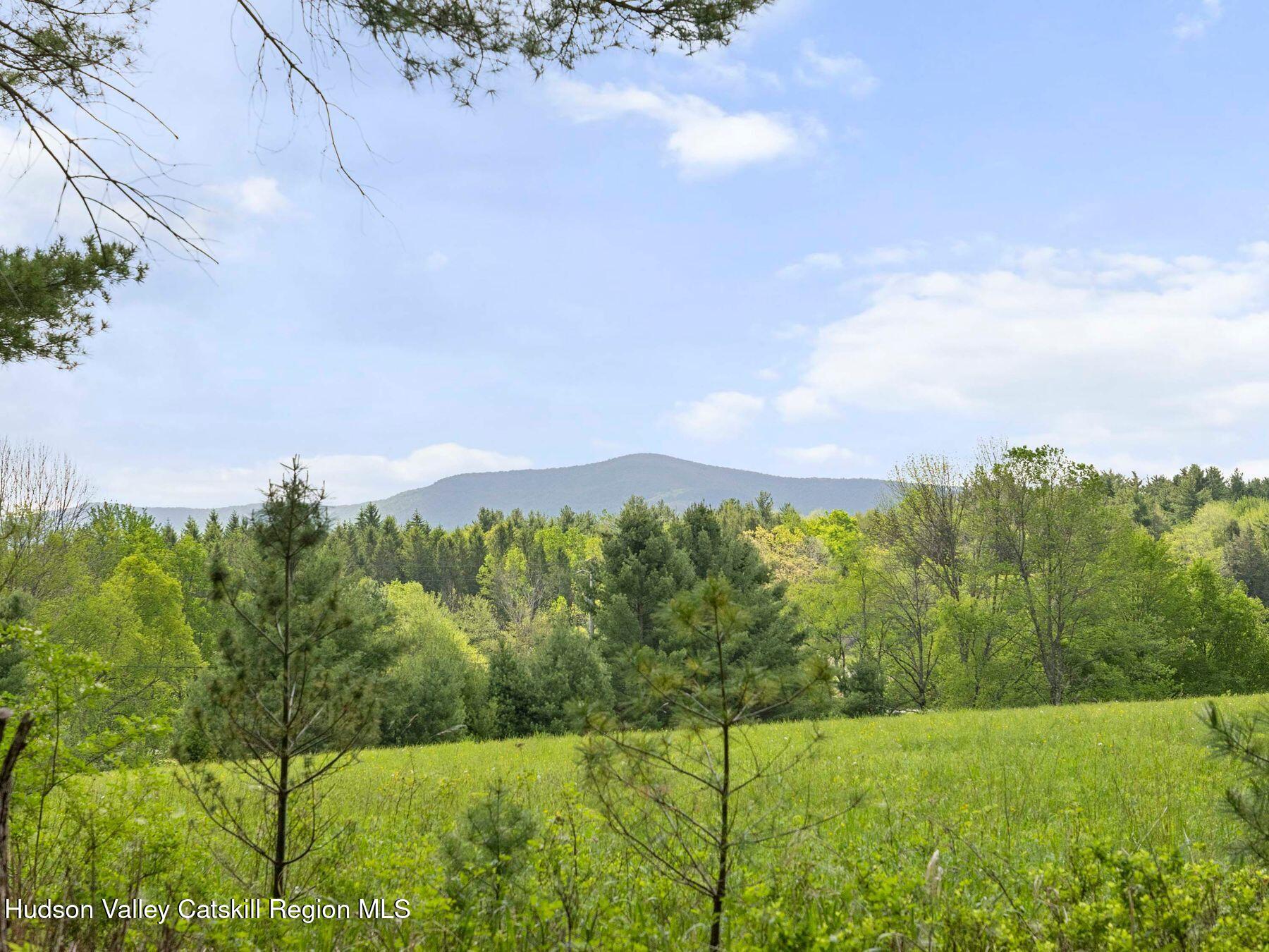 137 Mountain Pond View Road Gilboa, NY 12076 - Photo 17 of 38 a view of a field with an ocean