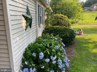 310 Seven Stars Road Millerstown, PA 17062 - Photo 11 of 40 Landscaping