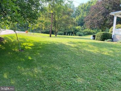 310 Seven Stars Road Millerstown, PA 17062 - Photo 12 of 40 Front Yard
