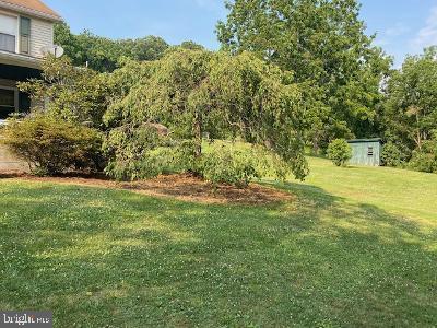 310 Seven Stars Road Millerstown, PA 17062 - Photo 13 of 40 Front Yard View 2
