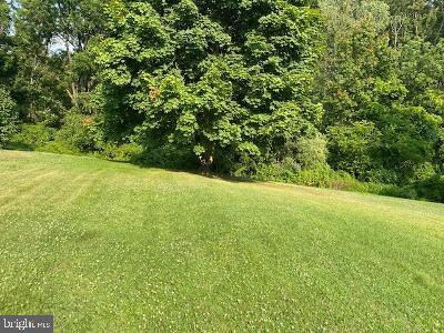310 Seven Stars Road Millerstown, PA 17062 - Photo 15 of 40 Yard View 2