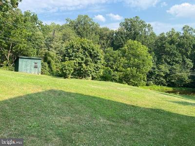310 Seven Stars Road Millerstown, PA 17062 - Photo 16 of 40 Yard View 3 with Shed