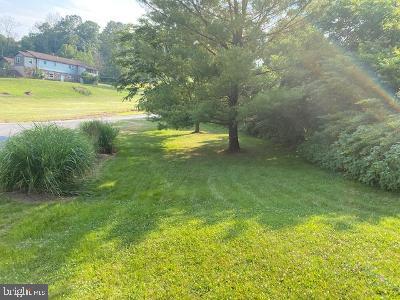 310 Seven Stars Road Millerstown, PA 17062 - Photo 18 of 40 Side Yard