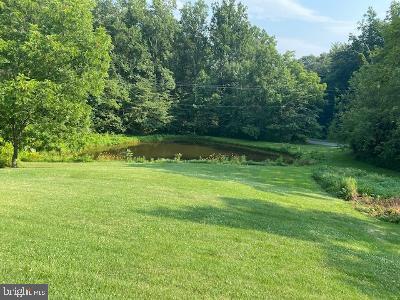 310 Seven Stars Road Millerstown, PA 17062 - Photo 20 of 40 Pond