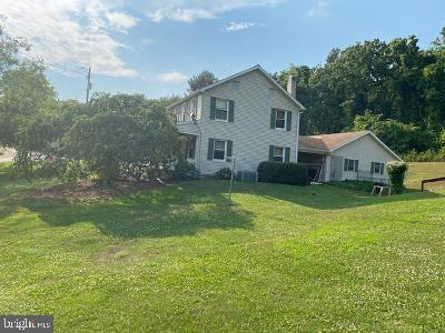 310 Seven Stars Road Millerstown, PA 17062 - Photo 3 of 40 Side View Pool Side
