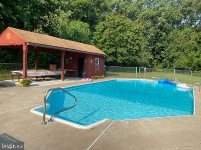 310 Seven Stars Road Millerstown, PA 17062 - Photo 23 of 40 Pool Pavilion and Pool Shed