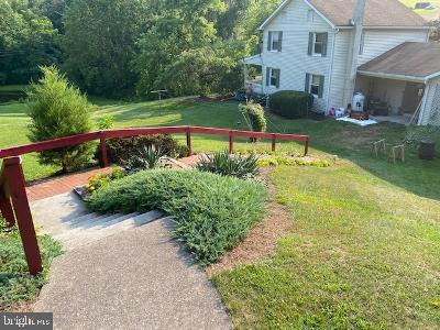310 Seven Stars Road Millerstown, PA 17062 - Photo 4 of 40 Side View from Pool Area