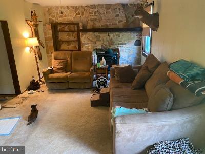 310 Seven Stars Road Millerstown, PA 17062 - Photo 31 of 40 Gallery Image 31