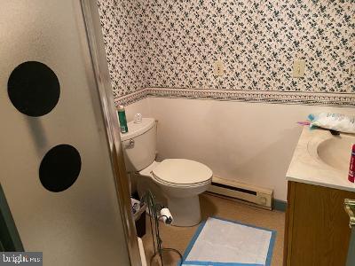 310 Seven Stars Road Millerstown, PA 17062 - Photo 35 of 40 Downstairs bath w shower