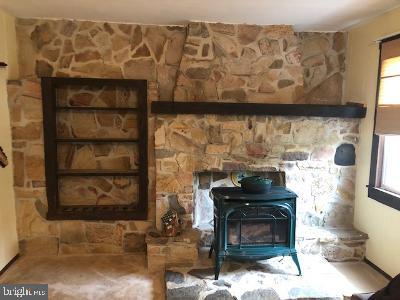 310 Seven Stars Road Millerstown, PA 17062 - Photo 37 of 40 Living Room Stone Hearth & gas stove