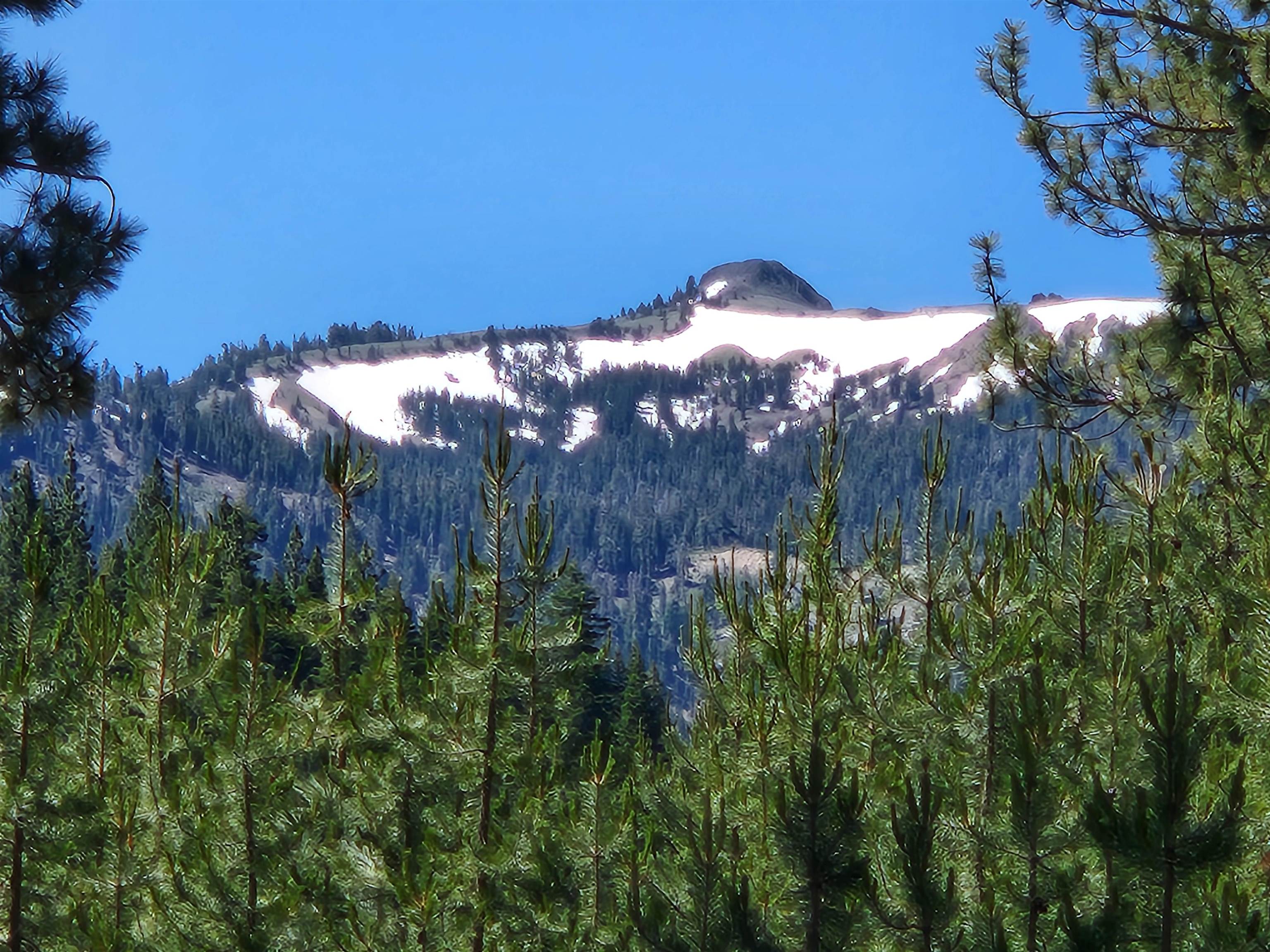 7000 Cold Stream Road Truckee, CA 96161 - Photo 25 of 28 View of Anderson Peak on the way into the neighborhood.