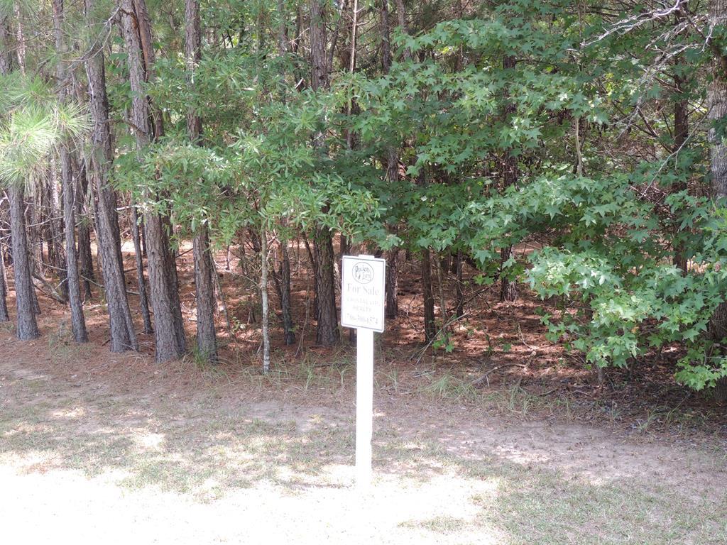112 Ferry Cove Road Greenwood, SC 29649 - Photo 3 of 30 Gallery Image 3