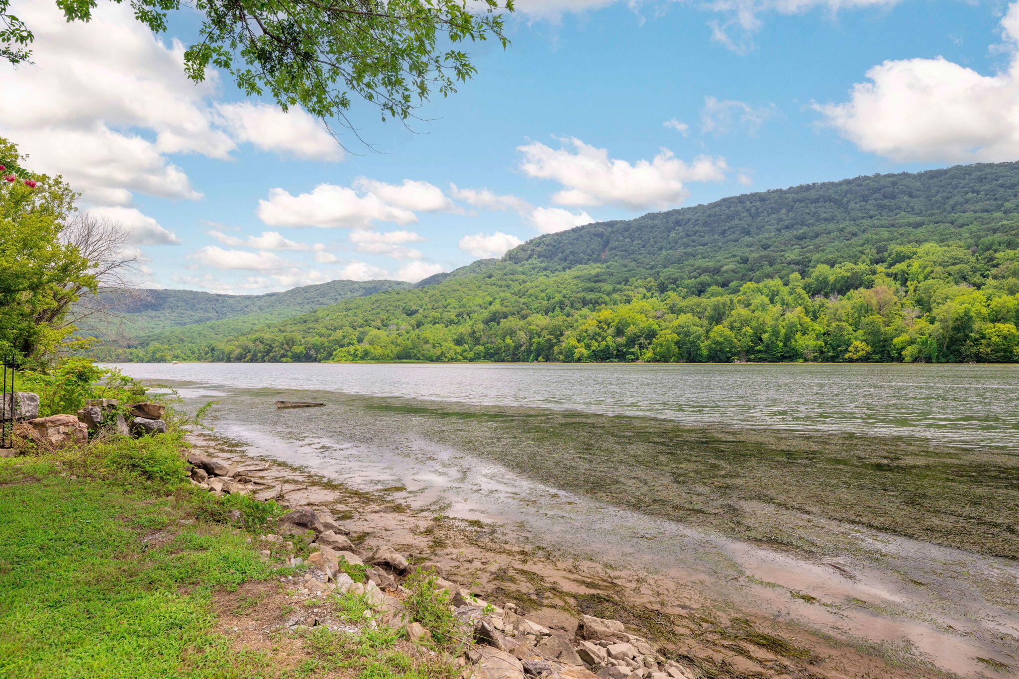 10350 Mullins Cove Road Whitwell, TN 37397 - Photo 48 of 93 54-web-or-mls-DSC_9402-28