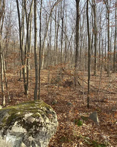 $185,000 | 20 Forest Ridge Drive, Unit 14, Middlebury, VT 05753