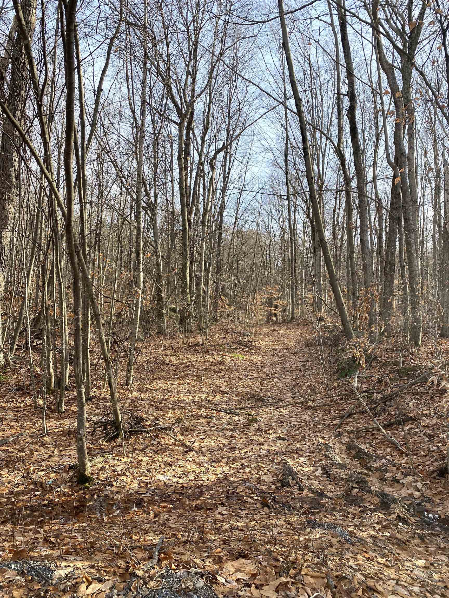 20 Forest Ridge Drive, Unit 14 Middlebury, VT 05753 - Photo 2 of 8