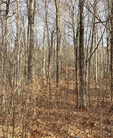 $185,000 | 20 Forest Ridge Drive, Unit 14, Middlebury, VT 05753