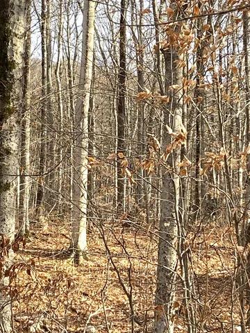 $185,000 | 20 Forest Ridge Drive, Unit 14, Middlebury, VT 05753