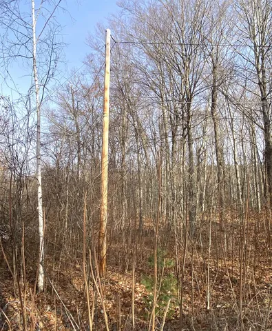 $185,000 | 20 Forest Ridge Drive, Unit 14, Middlebury, VT 05753