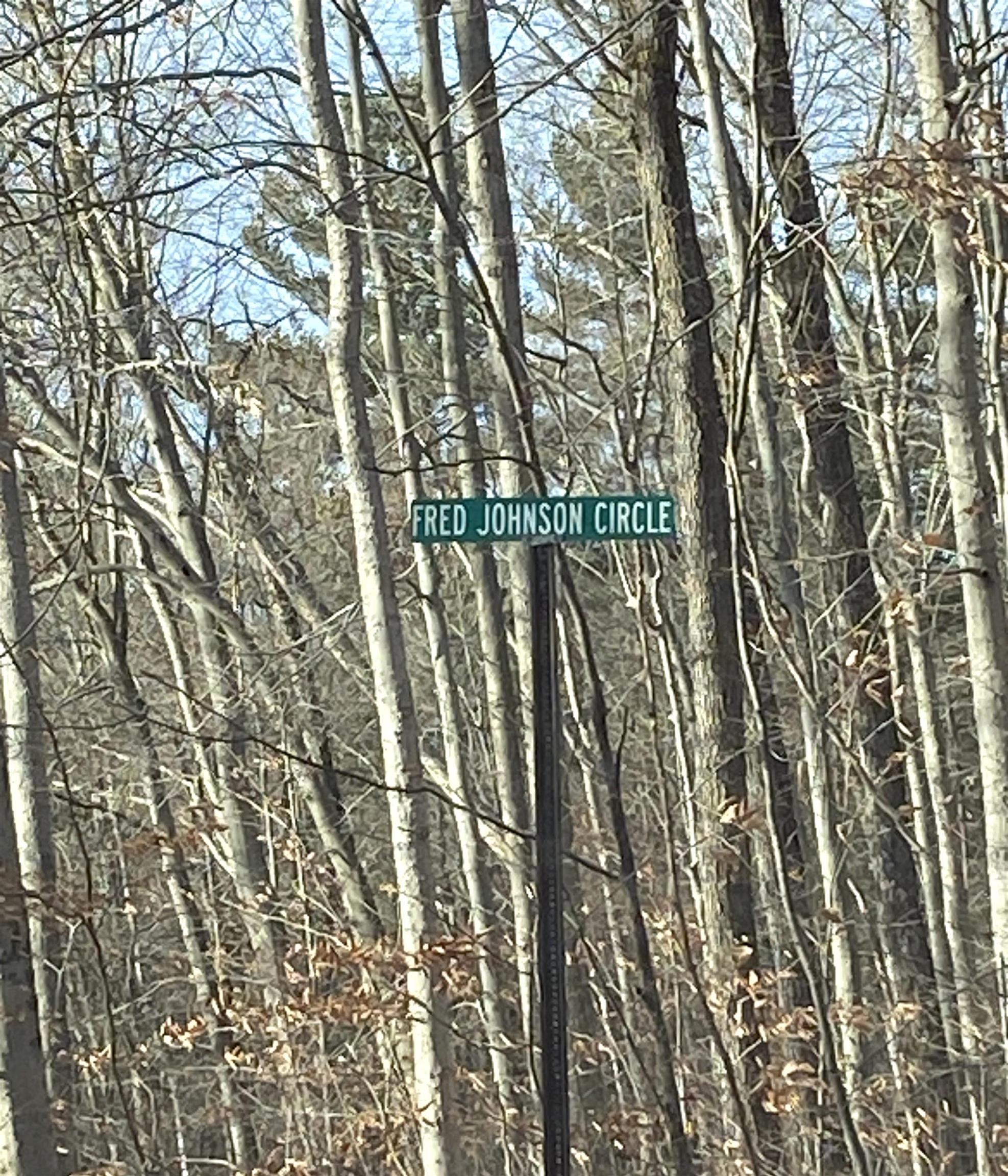 20 Forest Ridge Drive, Unit 14 Middlebury, VT 05753 - Photo 7 of 8