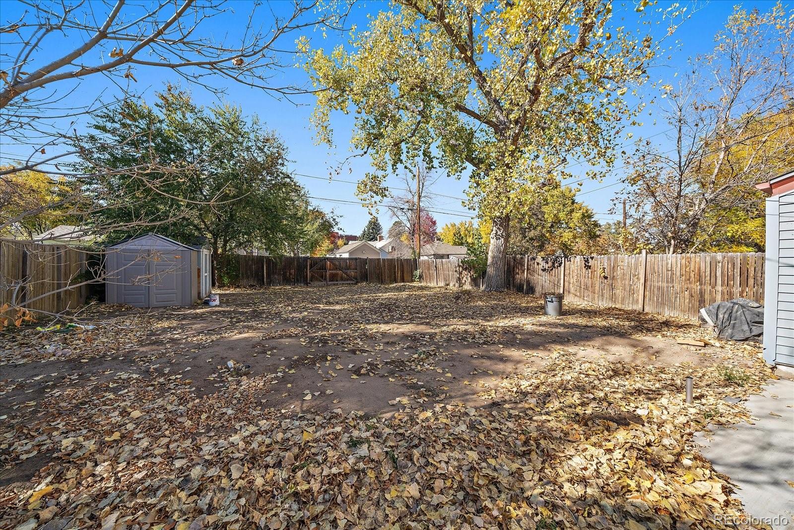 2575 South Lafayette Street Denver, CO 80210 - Photo 23 of 25 a view of a backyard with large trees