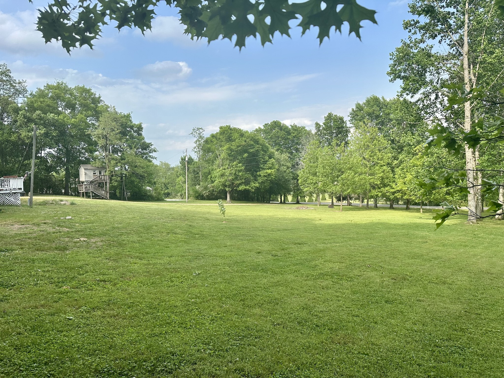 4002 Rippey Lake Road Mount Pleasant, TN 38474 - Photo 9 of 43 a view of outdoor space with green field and trees