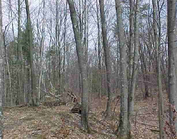 Hartshorn Road Greenwich, NY 12834 - Photo 1 of 3 Photo 1