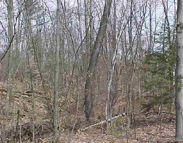 Hartshorn Road Greenwich, NY 12834 - Photo 2 of 3 Photo 2