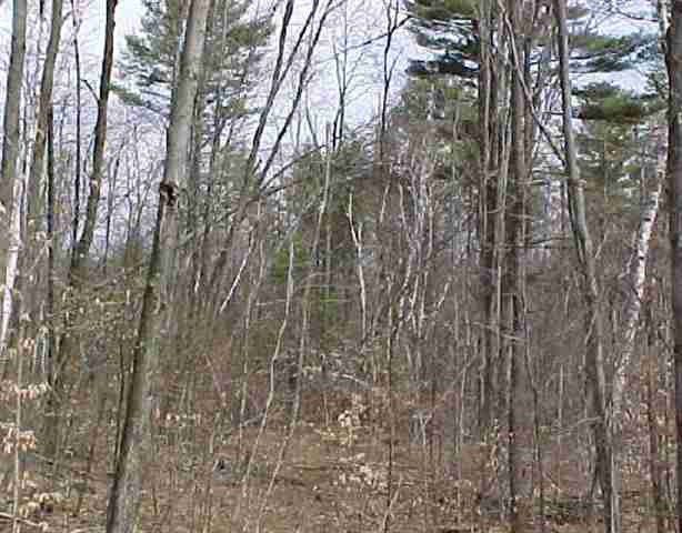 Hartshorn Road Greenwich, NY 12834 - Photo 3 of 3 Photo 3