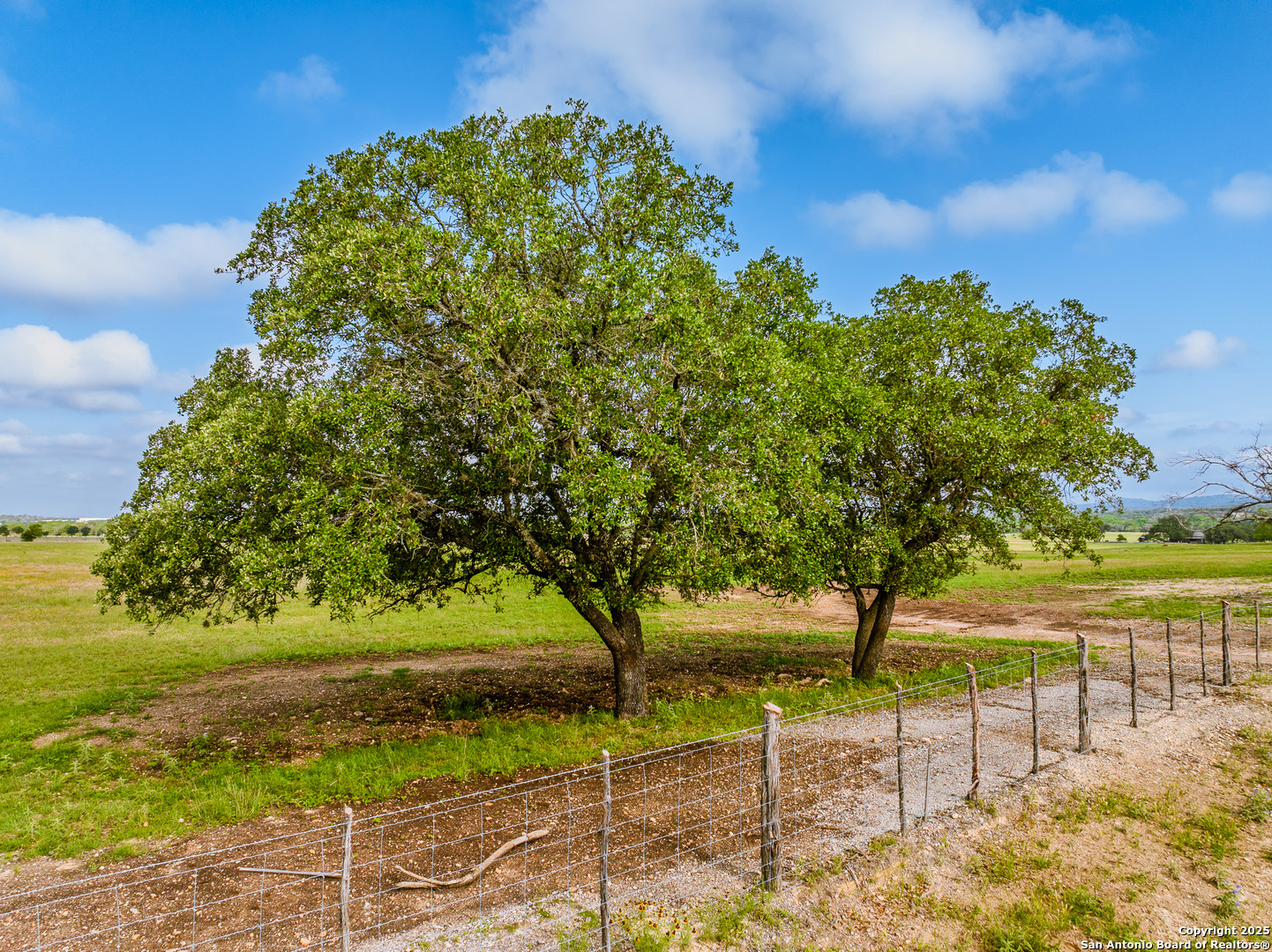 Lot4 Oak Mott Road Comfort, TX 78013 - Photo 2 of 21 a view of a yard with an tree