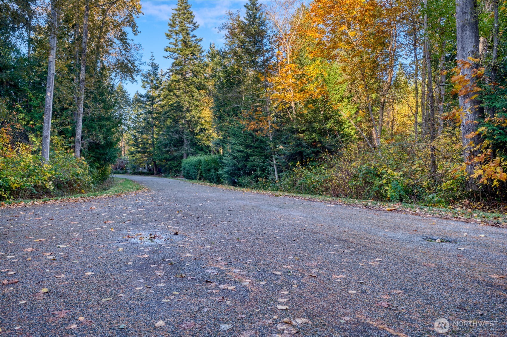 6 Weasel Run Road Point Roberts, WA 98281 - Photo 2 of 9 a view of a forest with trees in the background