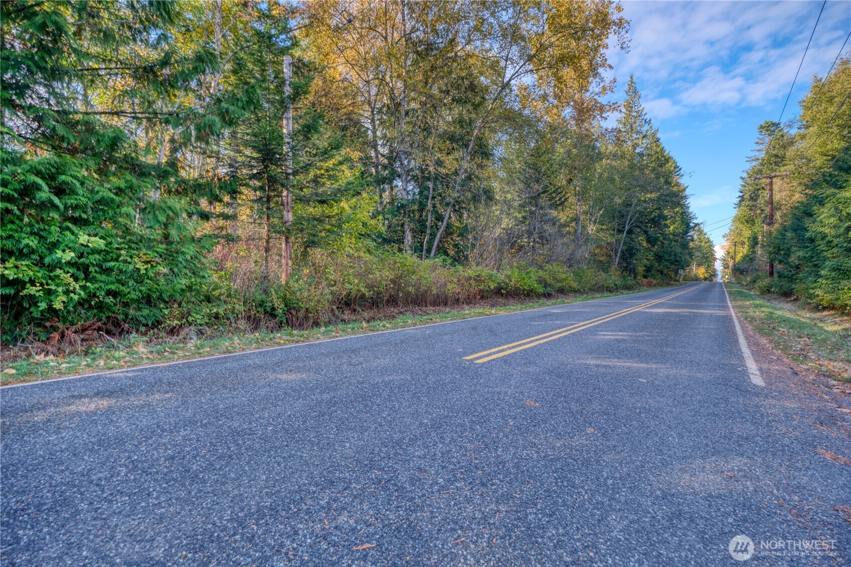 6 Weasel Run Road Point Roberts, WA 98281 - Photo 4 of 9 a view of a field with trees in the background
