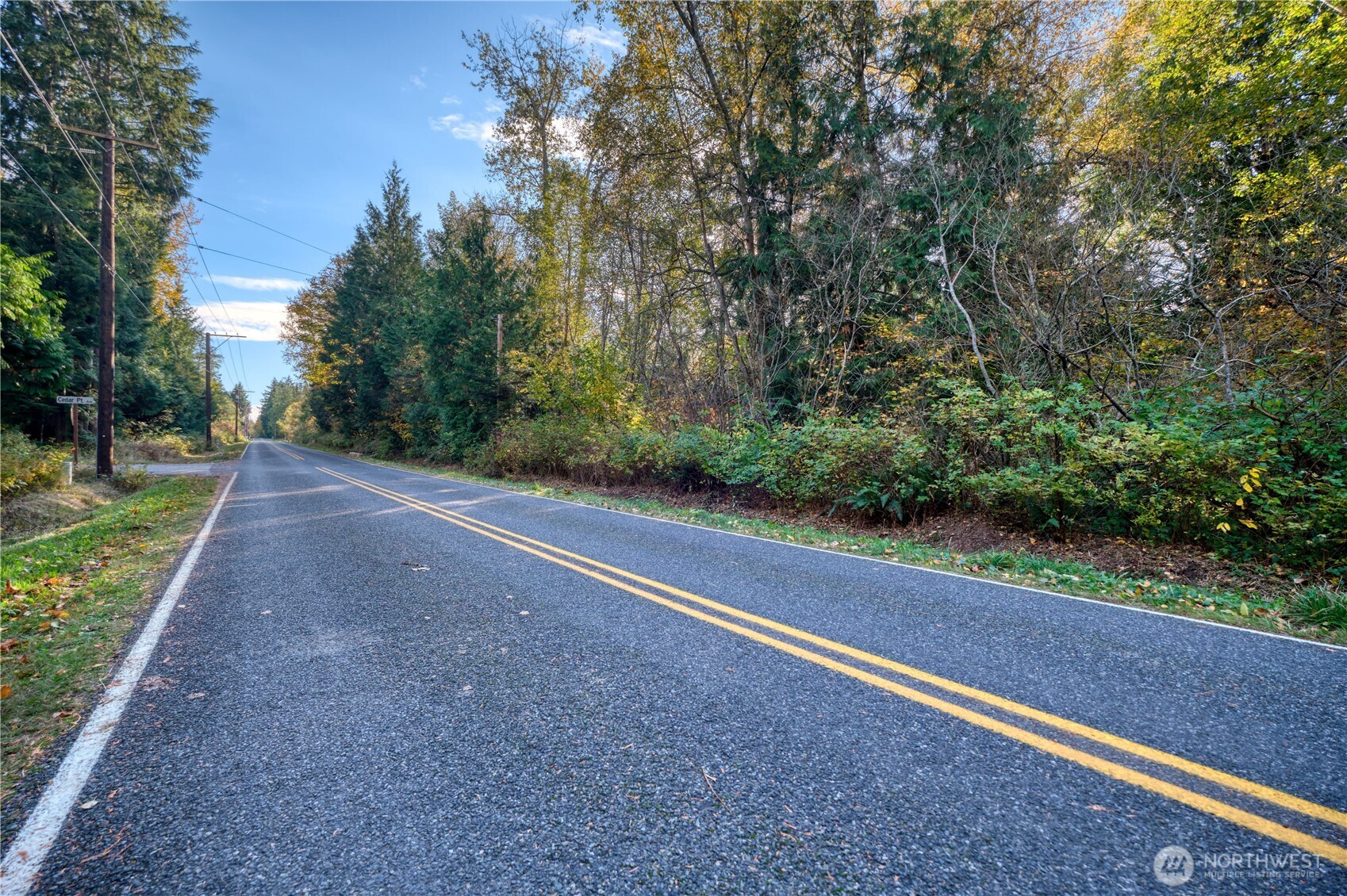 6 Weasel Run Road Point Roberts, WA 98281 - Photo 6 of 9 a view of a yard with potted plants and large trees