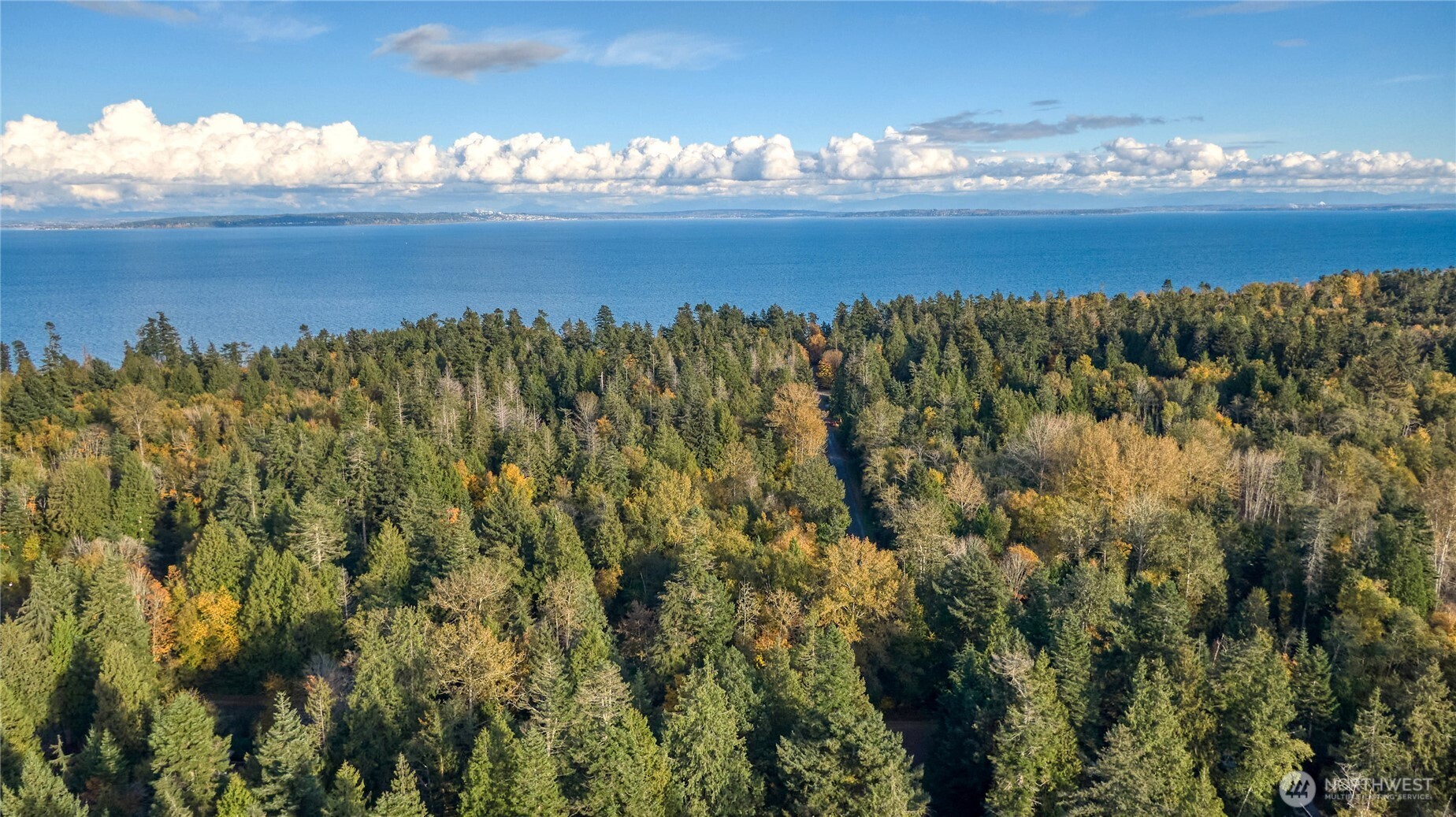 6 Weasel Run Road Point Roberts, WA 98281 - Photo 8 of 9 a view of a city