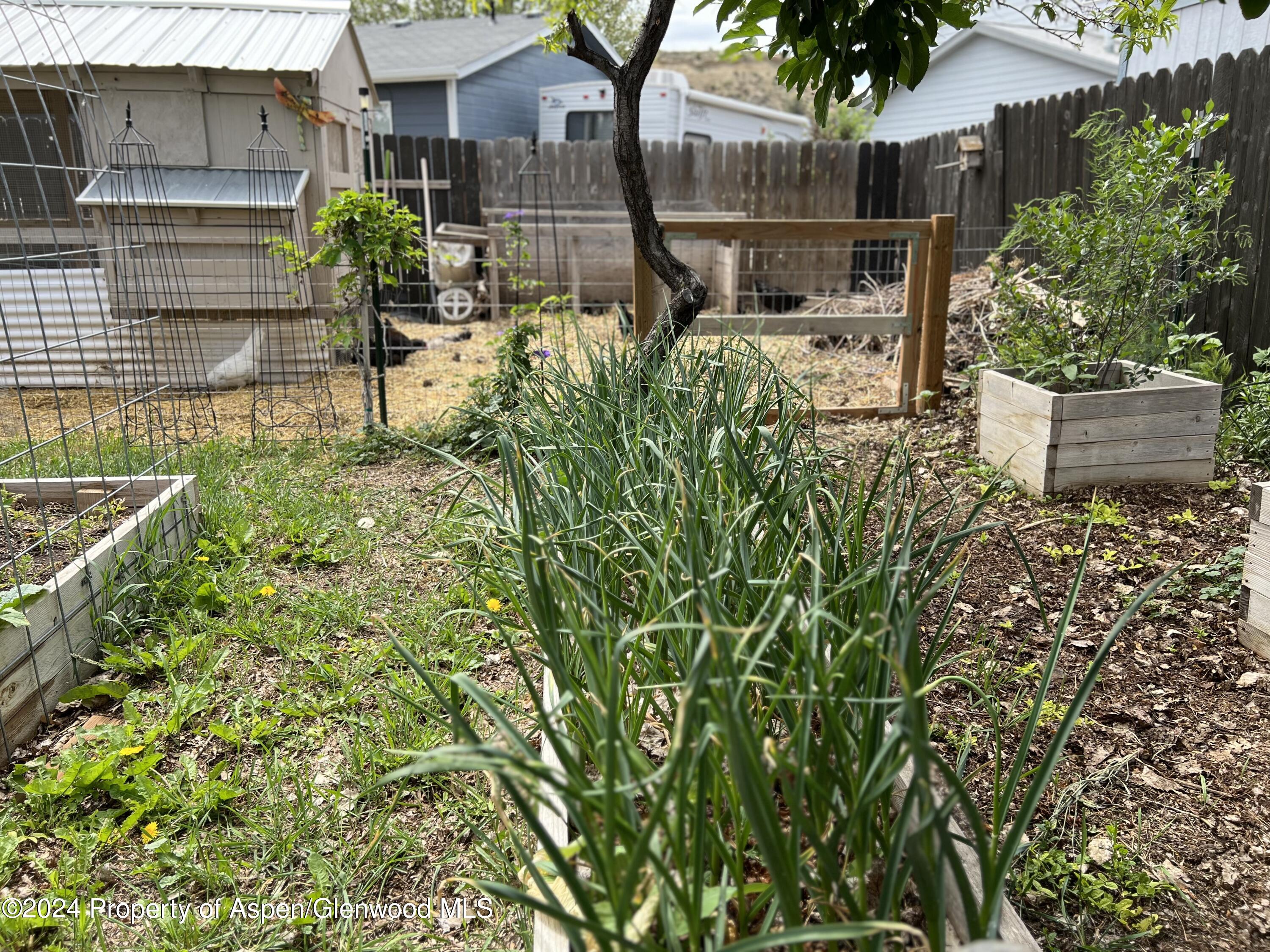 2440 Ute Avenue Rifle, CO 81650 - Photo 47 of 53 Spring Time