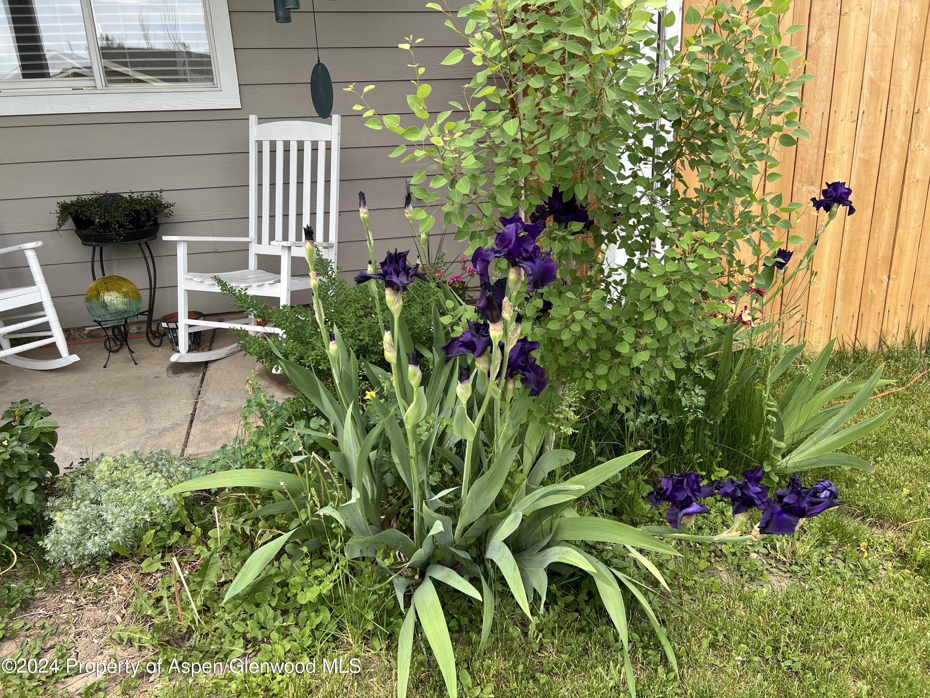 2440 Ute Avenue Rifle, CO 81650 - Photo 50 of 53 Spring Time