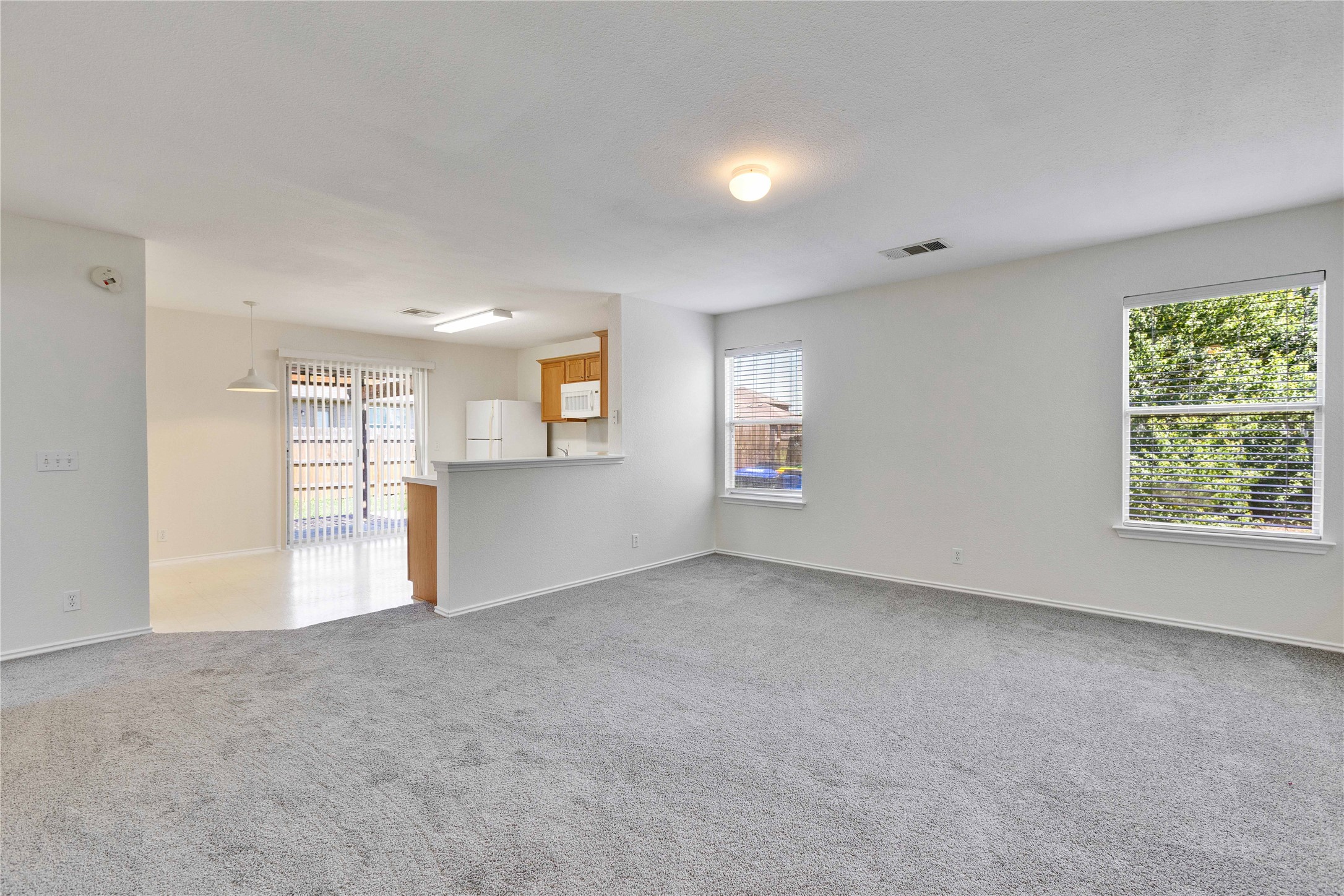 14418 Pebble Run Path Manor, TX 78653 - Photo 5 of 27 A spacious living area with plush carpeting and bright windows, flowing into a well-appointed kitchen.