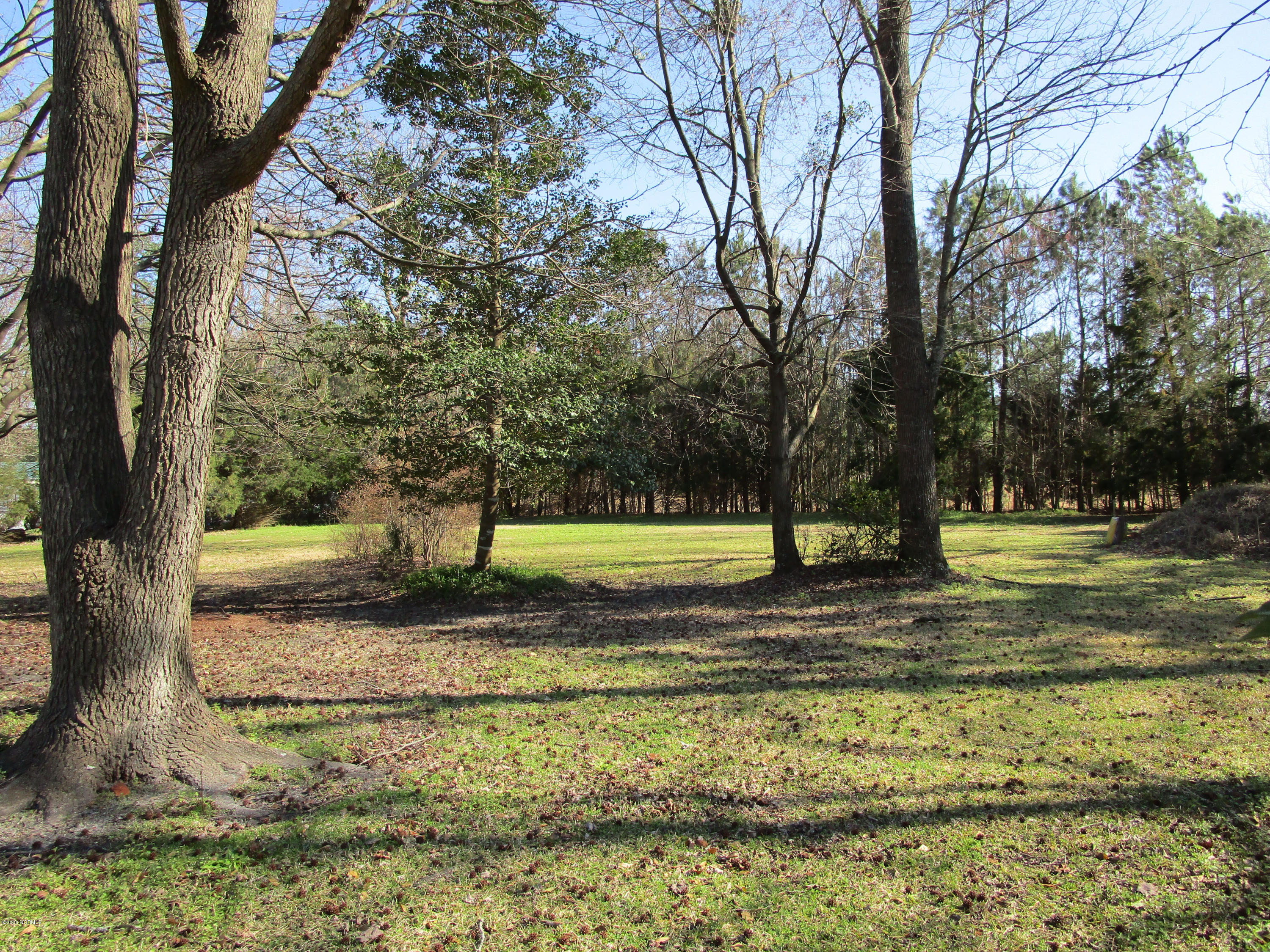 3854 Mobleys Bridge Road Grimesland, NC 27837 - Photo 14 of 15 Nice Wooded Back Yard