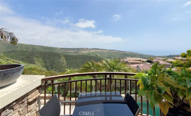 a balcony with furniture and a potted plant