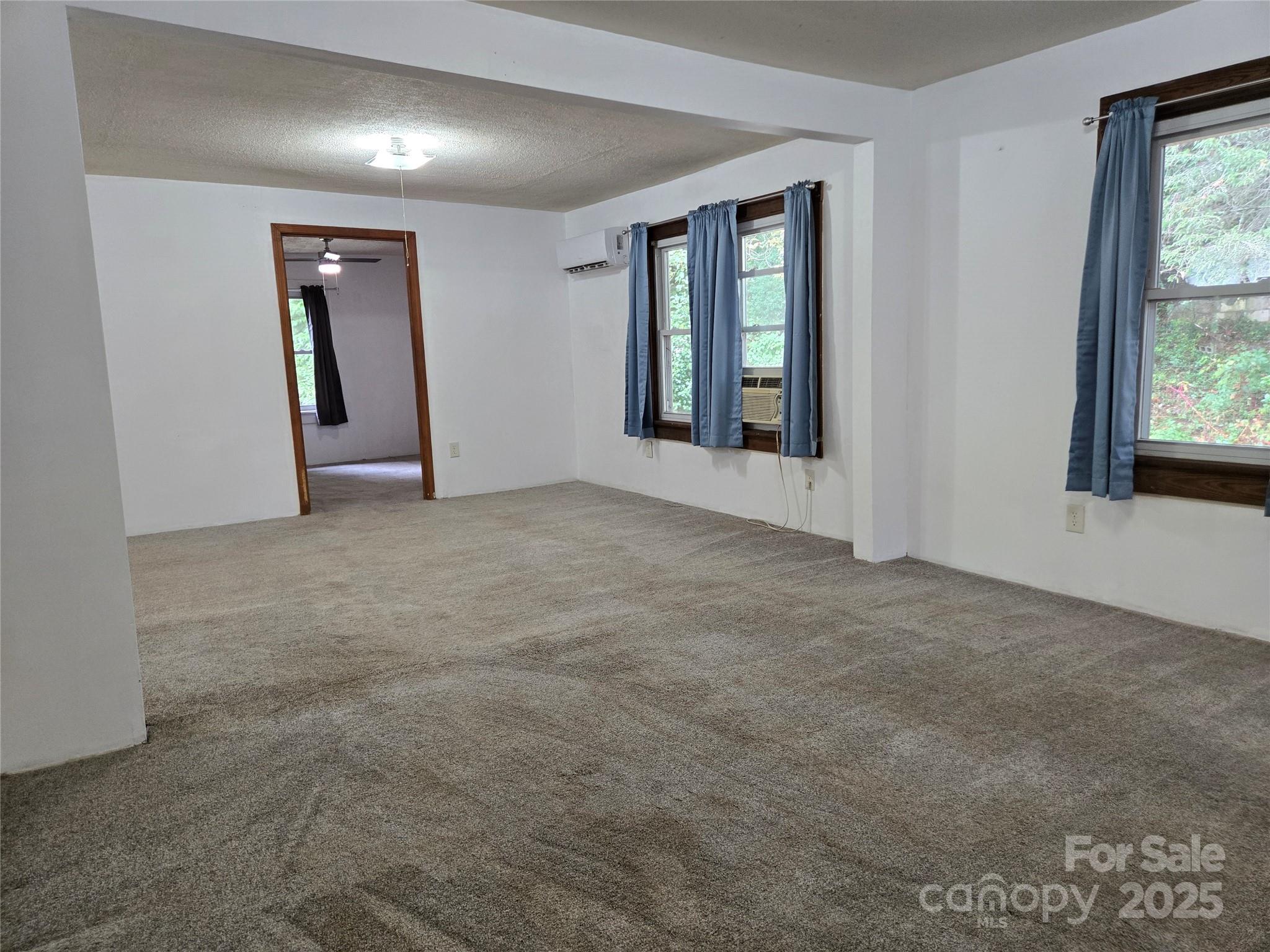 148 Huffman Road Clyde, NC 28721 - Photo 27 of 46 an empty room with windows and closet