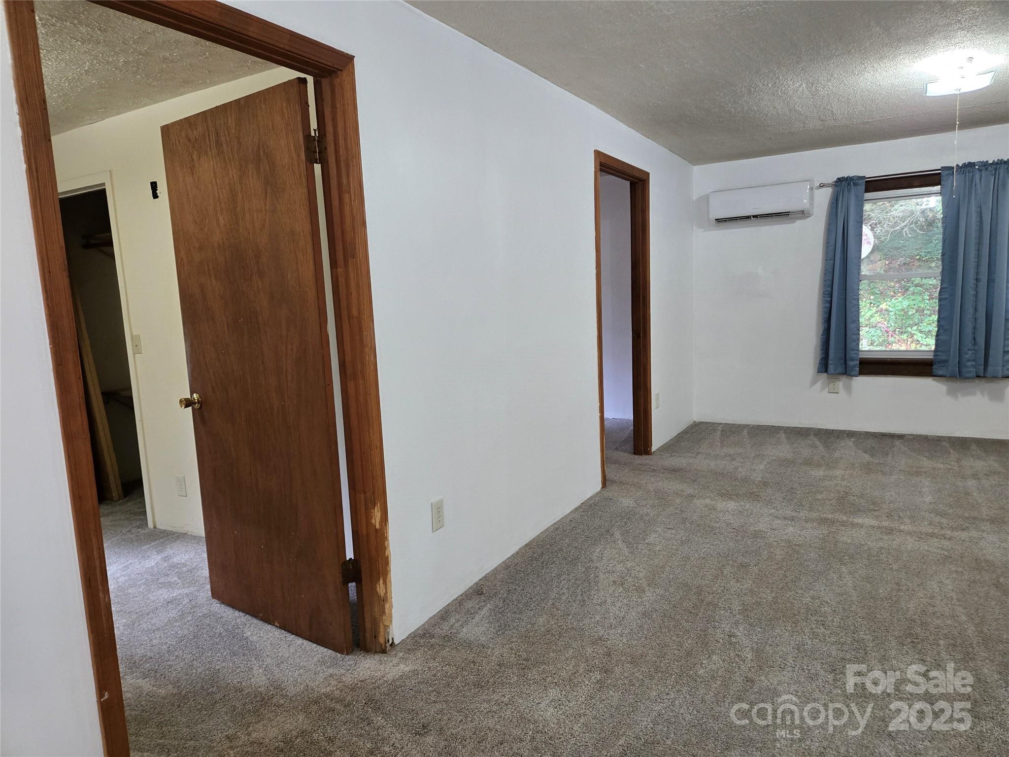 148 Huffman Road Clyde, NC 28721 - Photo 30 of 46 an empty room with windows and closet