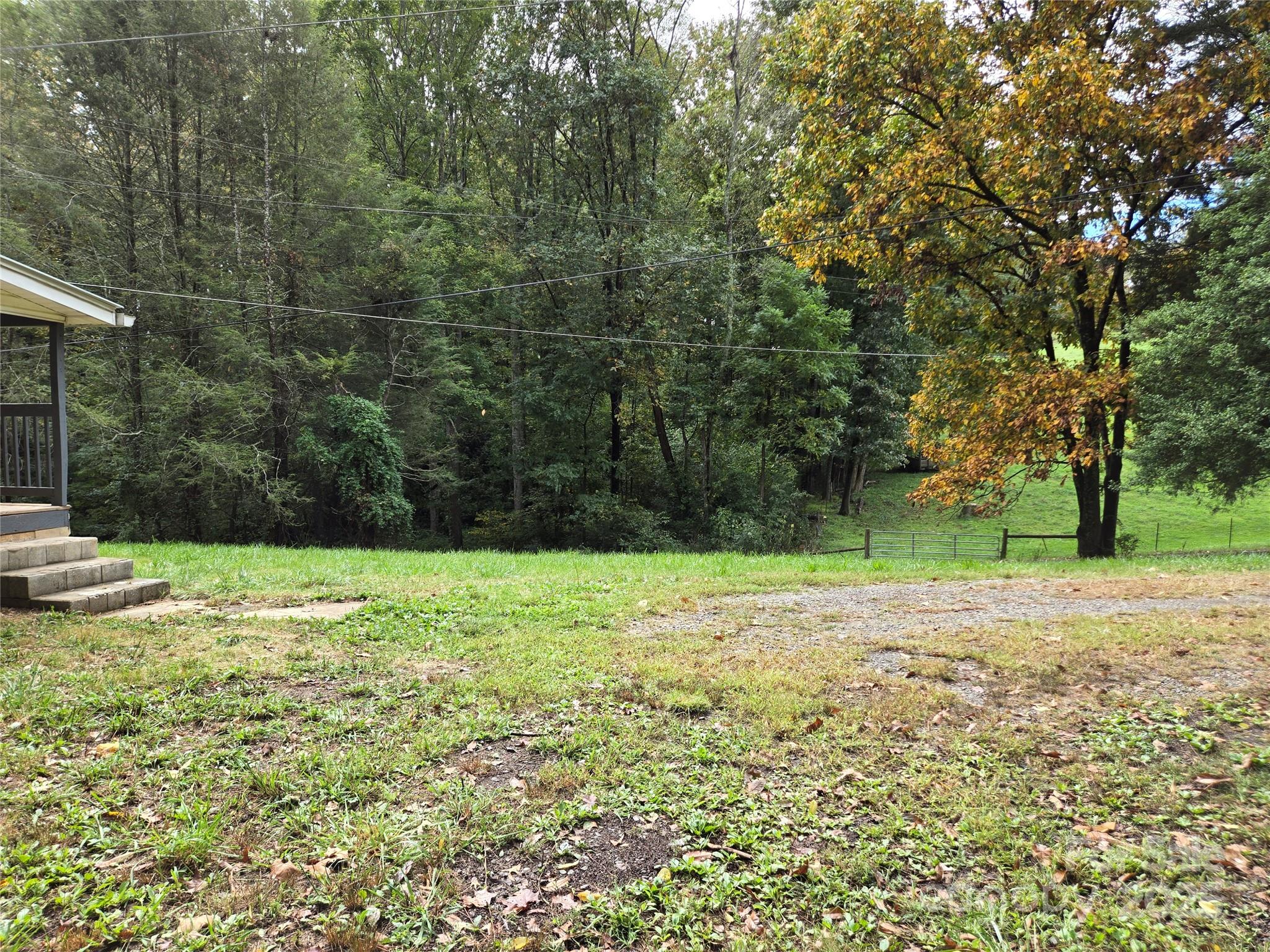 148 Huffman Road Clyde, NC 28721 - Photo 34 of 46 a view of a yard with a tree