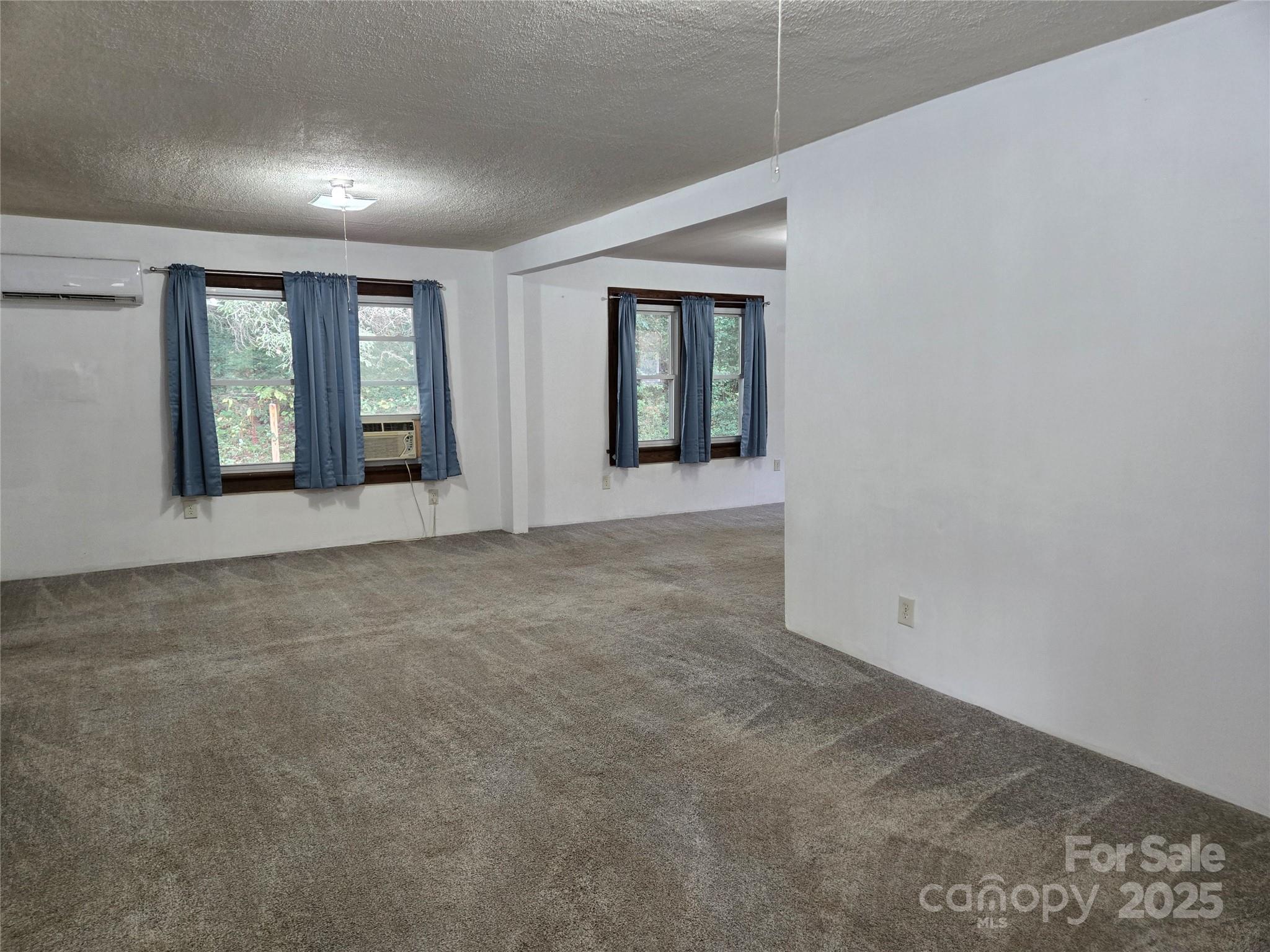 148 Huffman Road Clyde, NC 28721 - Photo 9 of 46 an empty room with windows