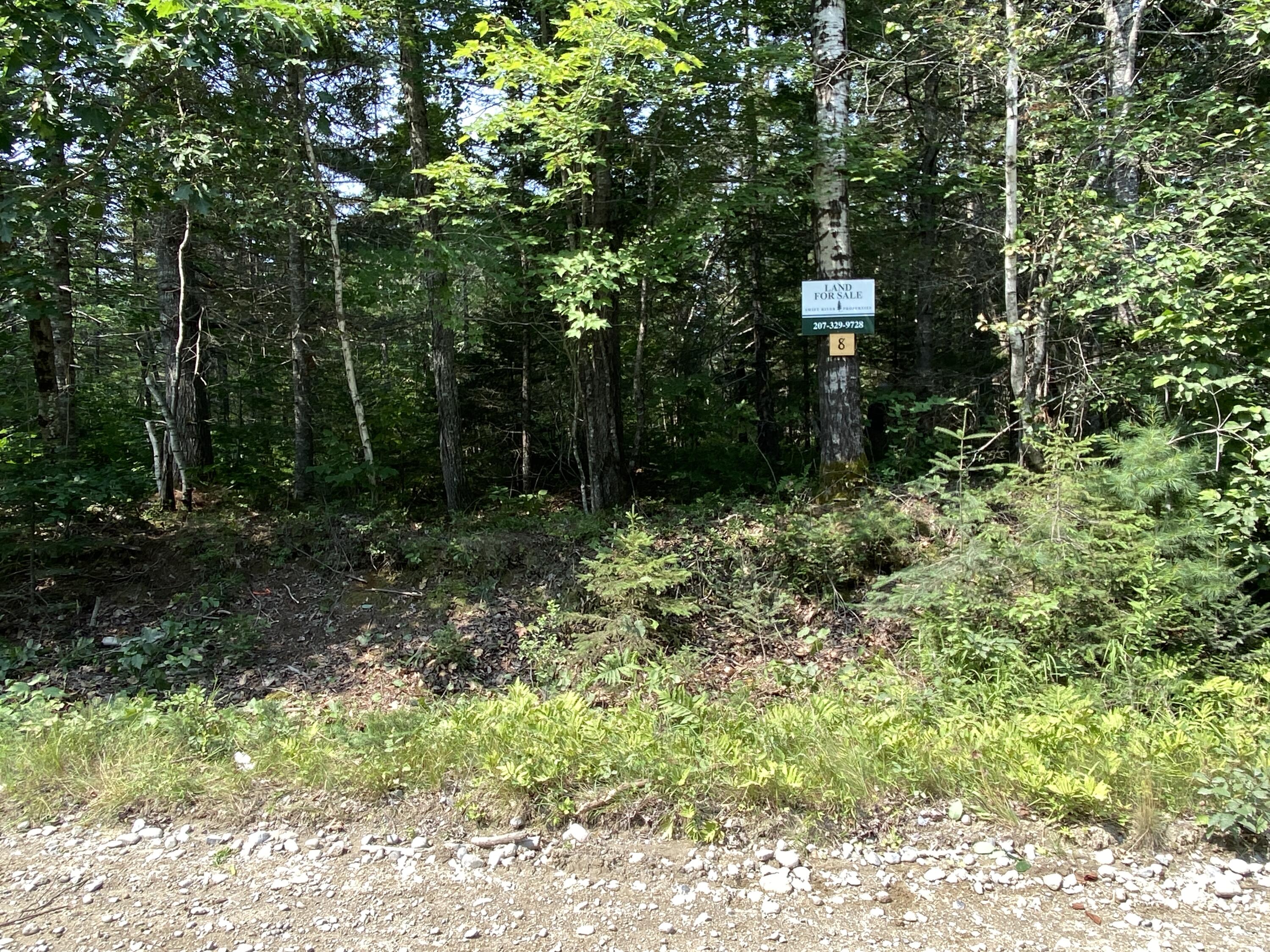 Lot 8 Georgetown Woods Road Columbia Falls, ME 04623 - Photo 5 of 13 2CA3849F-5A2F-4A40-9838-E00C891892B8