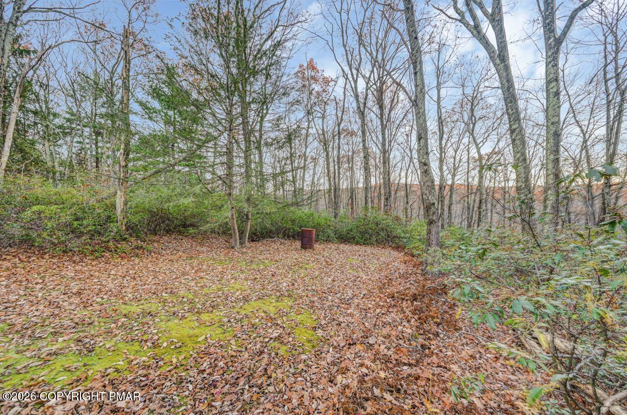 384 Devils Hole Road Cresco, PA 18326 - Photo 82 of 97 a view of a backyard with large trees