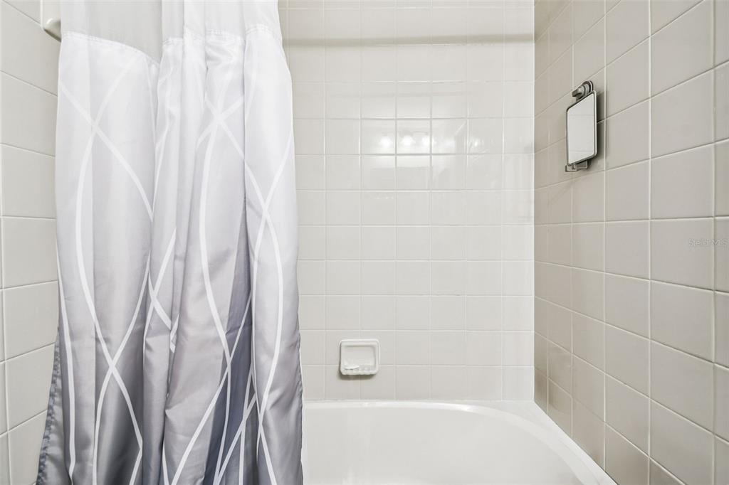 8439 Hunters Fork Loop Ruskin, FL 33573 - Photo 32 of 74 a bathroom with a shower and a tub