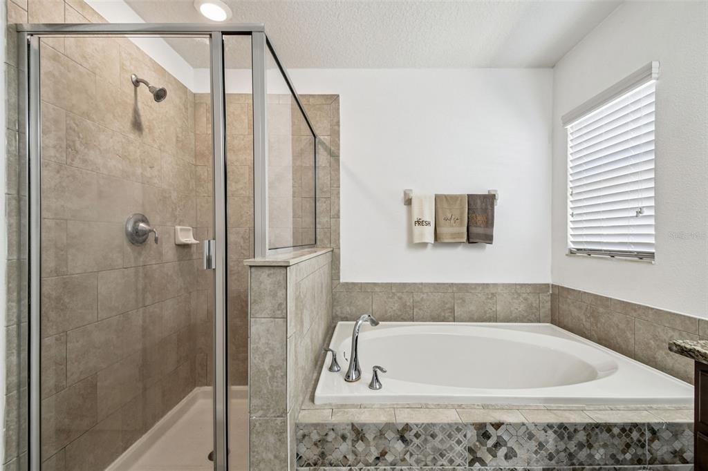 8439 Hunters Fork Loop Ruskin, FL 33573 - Photo 37 of 74 a bath tub sitting next to a shower