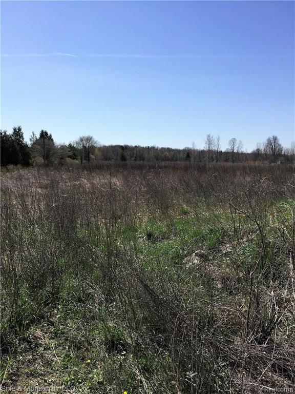 0 Big Hand Road St. Clair, MI 48079 - Photo 2 of 2