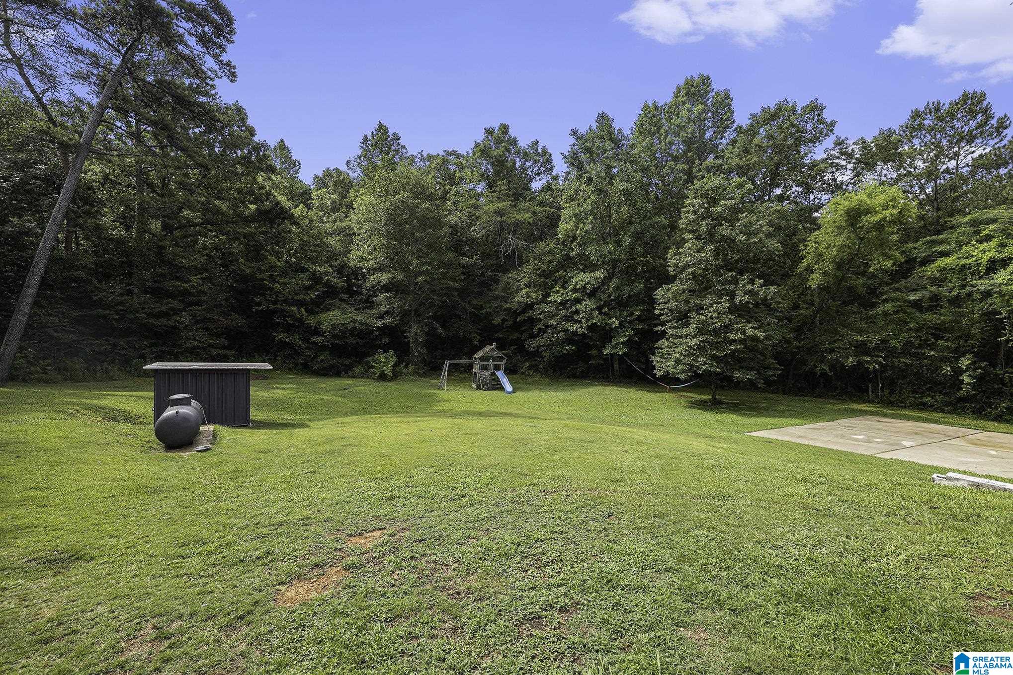 8024 Alliance Short Creek Road Mulga, AL 35118 - Photo 2 of 31